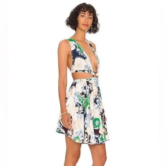 NWT Agua Bendita Gillian Cardumen Dress. Size Large - Picture 5 of 15